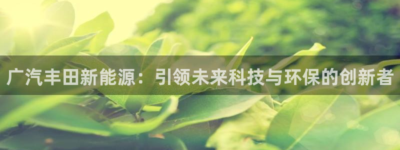 新宝gg刷流水