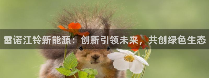 新宝gg平台反水