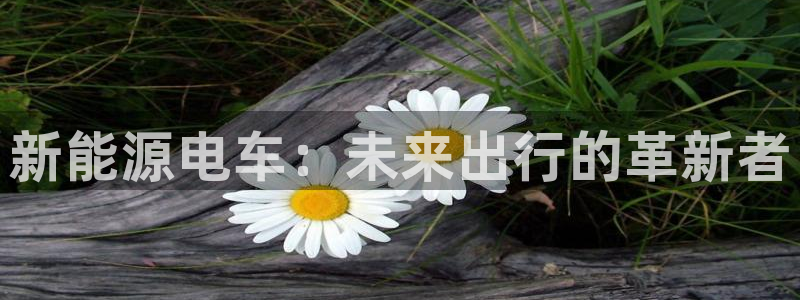 新宝gg娱乐盟主：新能源电车：未来出行的