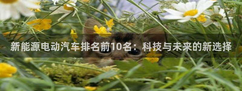 新宝gg佳740005：新能源电动汽车排