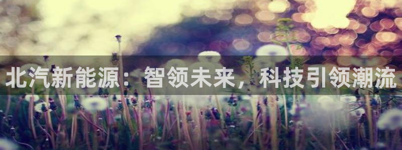 新宝 gg平台：北汽新能源：智领未来，科