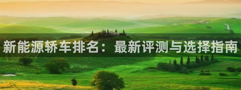 新宝gg公司