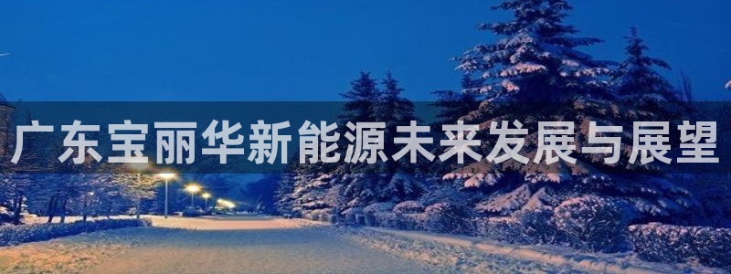 新宝gg网址