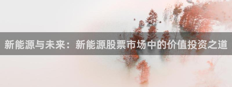 新宝 gg .com：新能源与未来：新能