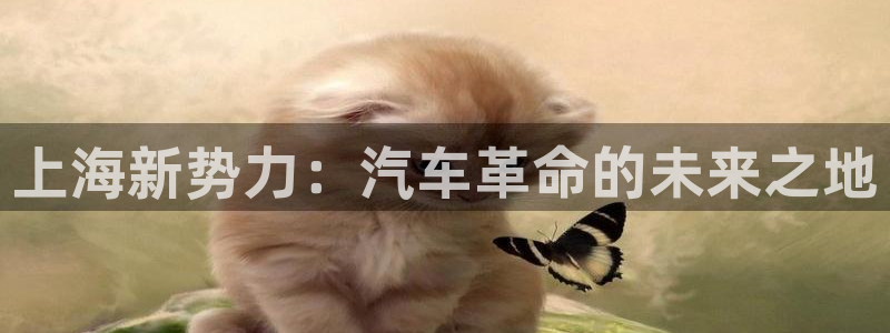 新宝GG无法充值：上海新势力：汽车革命的