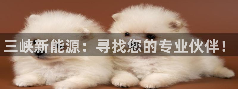 66新宝gg：三峡新能源：寻找您的专业伙