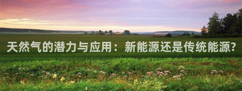 新宝gg登陆:天然气的潜力与应用:新能源还是传统能源?