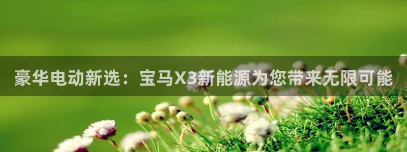 新宝gg注册 776317:豪华电动新选:宝马X3新能源为您