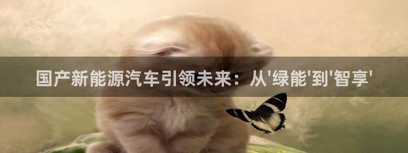 新宝gg手机登录官网:国产新能源汽车引领未来:从\