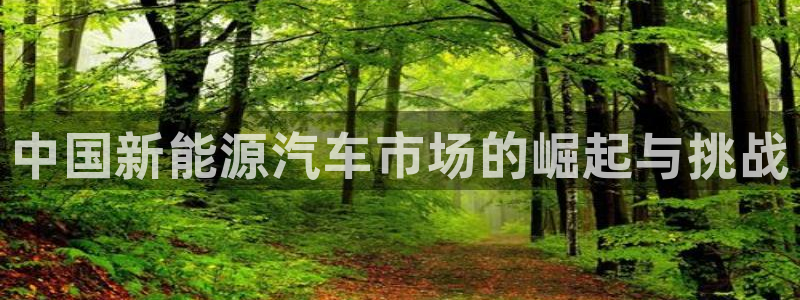 新宝gg 开户:中国新能源汽车市场的崛起与挑战