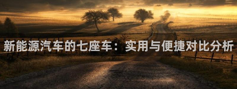 新宝gg新宝5注册:新能源汽车的七座车:实用与便捷对比分析