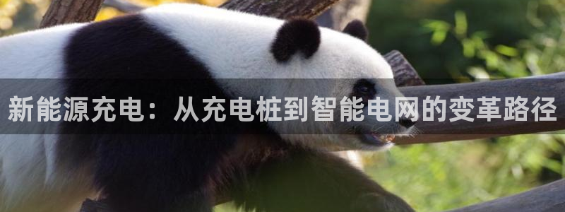 新宝gg论坛:新能源充电:从充电桩到智能电网的变革路径